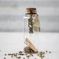 Mini Wishes Jar Bottle